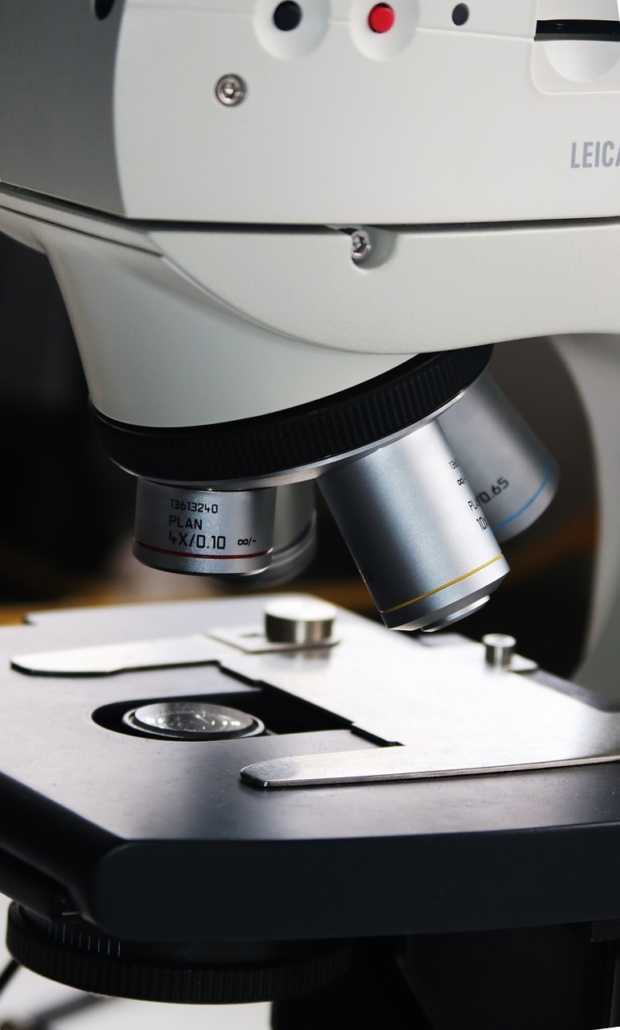 Trinkwasseranalyse-Mikroskop mit dem Untersuchungen angestellt werden